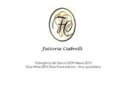 SANNIO TOP WINES 2014 - fattoriaciabrelli